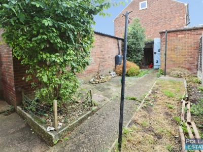Picture 15